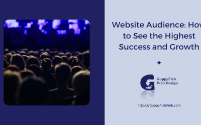 Website Audience: How to See the Highest Success and Growth