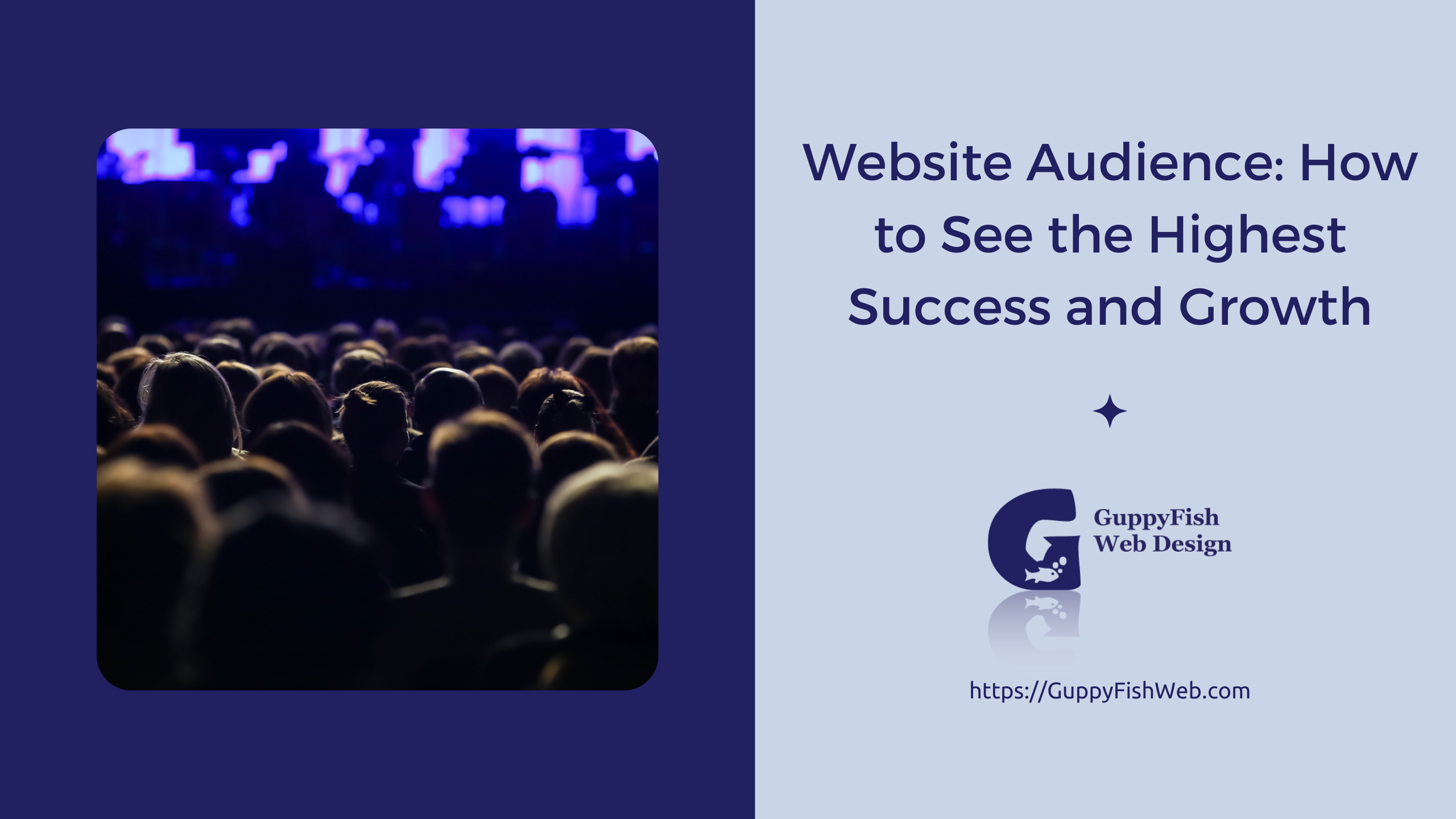 Website Audience: How to See the Highest Success and Growth