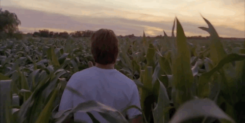 Kevin Costner Field of Dreams - If You Build it, they will come