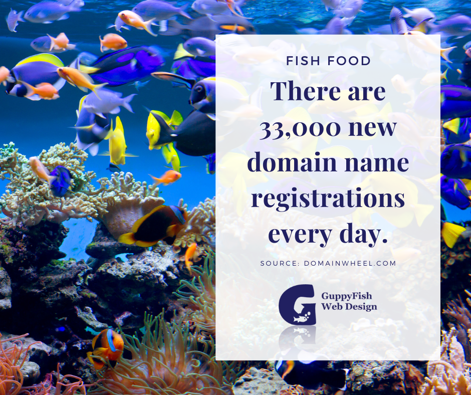 Fish food: There are 33,000 new domain name registrations every day.