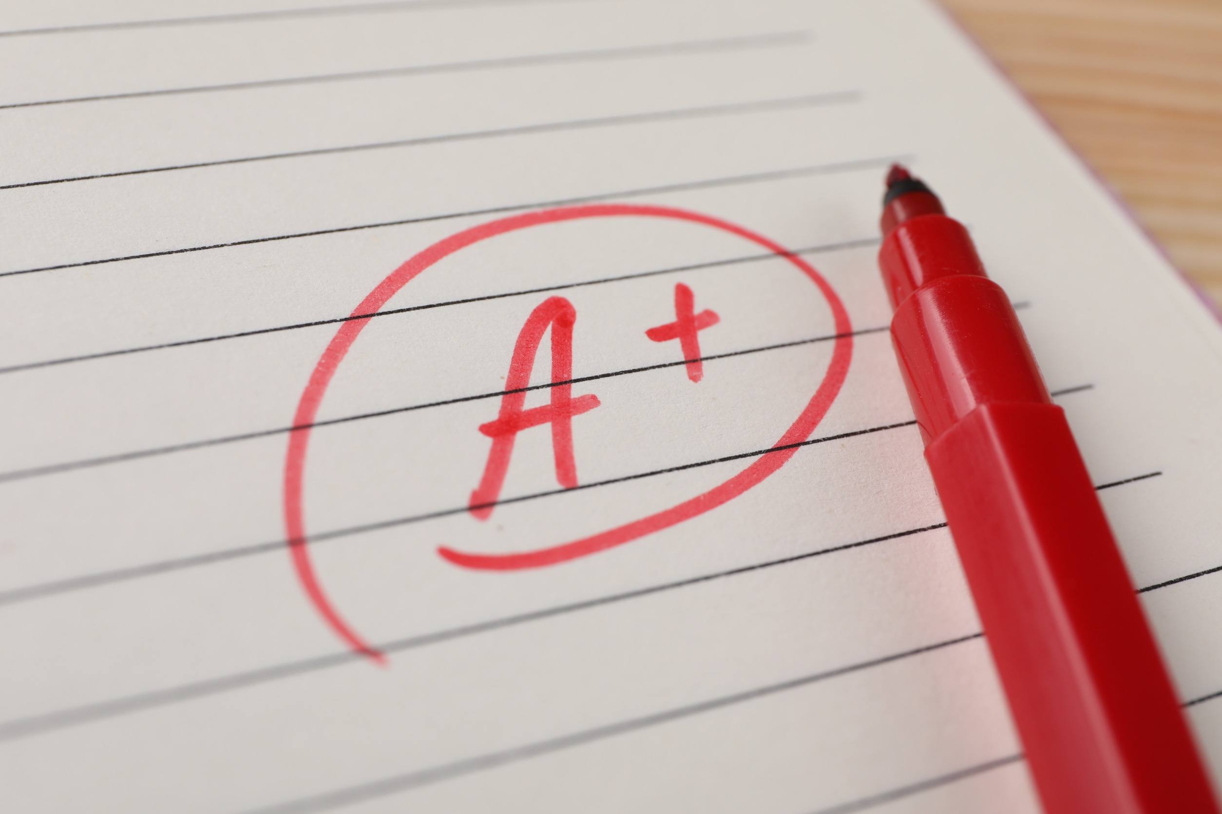 Free website report card - Red A+ written on paper