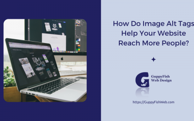How Do Image Alt Tags Help Your Website Reach More People?